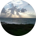 Shimon Klein profile picture